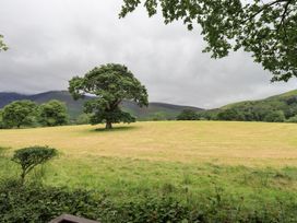 A field with a tree in the center at Squirrels Leap near Number 29, Burnside Park near Keswick