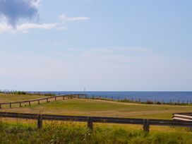 A view of grass and ocean with a wooden fence at Sandbanks, Praa Sands