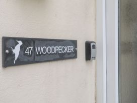 Woodpecker - North Wales - 1075260 - thumbnail photo 2