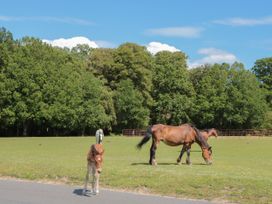 Brook Farm - Hampshire - 1077087 - thumbnail photo 43
