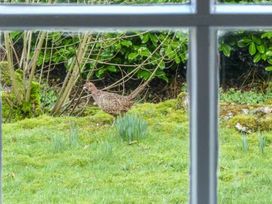 2 Dalegarth - Yorkshire Dales - 1077199 - thumbnail photo 14