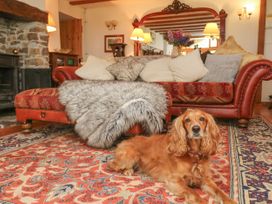 South Honeycroft Thatch - Devon - 1077280 - thumbnail photo 5