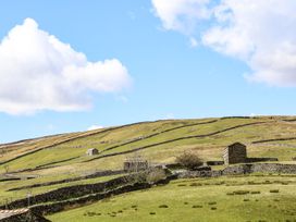 Kearton Shunner Fell - Yorkshire Dales - 1077636 - thumbnail photo 18