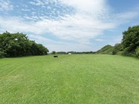 Wagtail - Devon - 1078679 - thumbnail photo 15