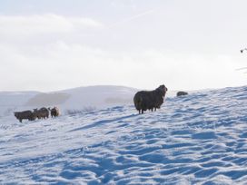 3 Hull House Cottage - Yorkshire Dales - 1079103 - thumbnail photo 23