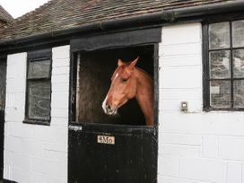 Filbert Pod - Kent & Sussex - 1079978 - thumbnail photo 21