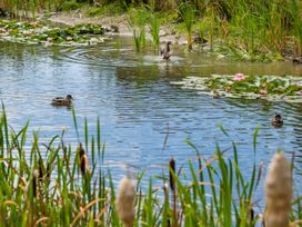 Number 8 Lakes View - Somerset & Wiltshire - 1081562 - thumbnail photo 32