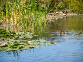 Number 8 Lakes View - Somerset & Wiltshire - 1081562 - thumbnail photo 33