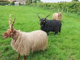 Foxes Den - Yorkshire Dales - 1082438 - thumbnail photo 23