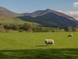 Swaledale Watch Garden Annexe - Lake District - 1082545 - thumbnail photo 24