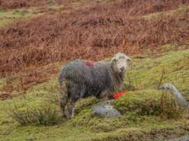 Swaledale Watch Garden Annexe - Lake District - 1082545 - thumbnail photo 25