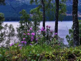 Lochside, 1 The Corries - Scottish Highlands - 1083346 - thumbnail photo 34