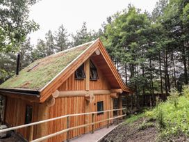 A wooden cabin with a green roof surrounded by trees at Pine Marten Lodge in Dulnain Bridge near Nethy Bridge