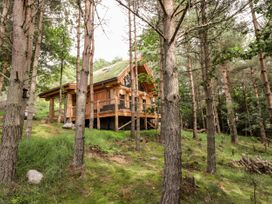 A wooden cabin with a grass roof surrounded by trees in a forest at Pine Marten Lodge Dulnain Bridge near Nethy Bridge