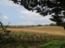 A field with young plants under trees with a cloudy sky at Rookley Lake Cottage in Rookley near Godshill