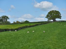 Holly Lodge - Mid Wales - 1084325 - thumbnail photo 38