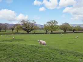 Lockmans Cottage - Mid Wales - 1084681 - thumbnail photo 34