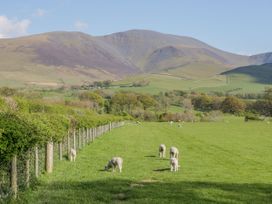 A field with sheep grazing near mountains at Azure in Carbis Bay