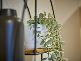 A plant in a white pot on a shelf at Riverside Park 3 in Keswick