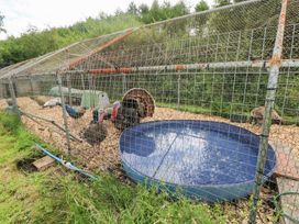 An outdoor enclosure with turkeys and peacocks at The Woodlands Lower Level in Stepaside
