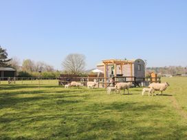 Balwen Shepherd's Hut - Mid Wales - 1086592 - thumbnail photo 19