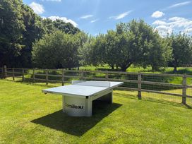 An outdoor ping pong table on grass with trees and a wooden fence in the background at The Gully in Sherborne