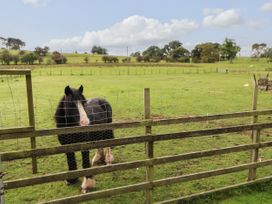 Row End farm - Lake District - 1086678 - thumbnail photo 16