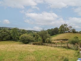 A landscape with grass, trees, and hills at Beudy Penarddwnion in Rhydymain near Dolgellau