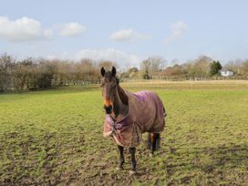 Willow Pod - Kent & Sussex - 1088826 - thumbnail photo 24