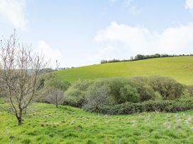 A grassy field with trees and bushes and a hill in the background at Beechcroft Cottage in North Molton