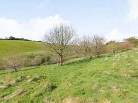 A grassy hillside with leafless trees and a bench at Beechcroft Cottage in North Molton