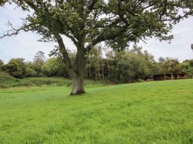 Brynallt Country Park - Shropshire - 1089348 - thumbnail photo 21