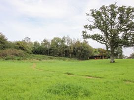 Brynallt Country Park - Shropshire - 1089348 - thumbnail photo 22