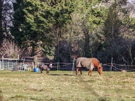 The Hide - Somerset & Wiltshire - 1089592 - thumbnail photo 31