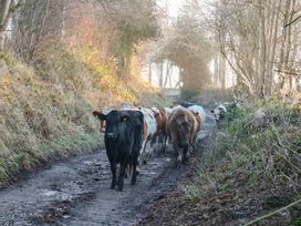 Charlotte’s Cottage - Peak District - 1089685 - thumbnail photo 19