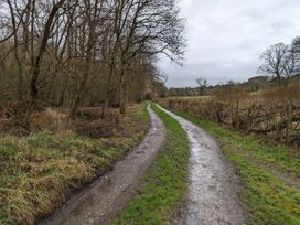 Little Pandy Cottage - North Wales - 1089958 - thumbnail photo 24