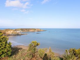 Bwthyn Cerrig Man (Pebble Cottage) - North Wales - 1090600 - thumbnail photo 32