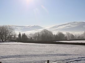 Wild Boar - Lake District - 1092371 - thumbnail photo 19