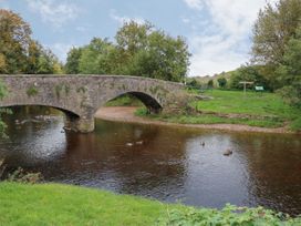 Wild Boar - Lake District - 1092371 - thumbnail photo 21