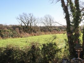 The Nest - Cornwall - 1092384 - thumbnail photo 31
