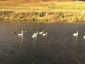 Ptarmigan Lodge - Scottish Lowlands - 1092956 - thumbnail photo 31