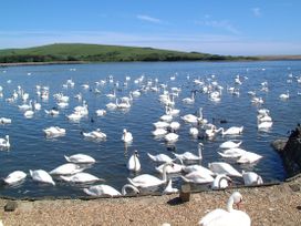 26 Rodden Row - Dorset - 1093761 - thumbnail photo 66