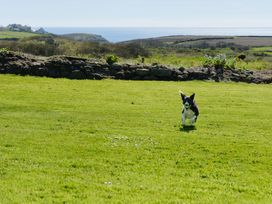 Higher Roskestal - Cornwall - 1094155 - thumbnail photo 27