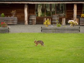 Lodge 9 - The Forgan - Scottish Lowlands - 1094642 - thumbnail photo 58