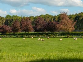 Lodge 11 - The Lawns - Scottish Lowlands - 1094645 - thumbnail photo 59