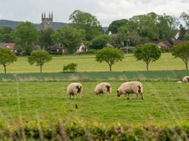 Lodge 2 - Kinnoull - Scottish Lowlands - 1094647 - thumbnail photo 57