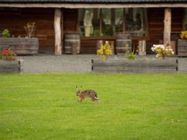 Lodge 2 - Kinnoull - Scottish Lowlands - 1094647 - thumbnail photo 60