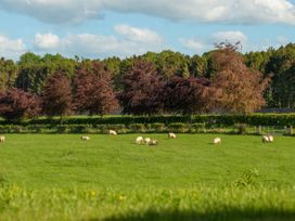 Lodge 5 - Kinfaunse - Scottish Lowlands - 1094650 - thumbnail photo 61