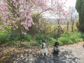 Dryslwyn Cottage - South Wales - 1094697 - thumbnail photo 24