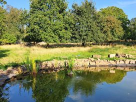 A pond with rocks and grass surrounded by trees at Dinefwr Cottage near Golden Grove